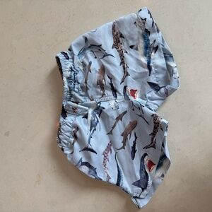Posh Peanut Swim Trunks 12-18 months; like new